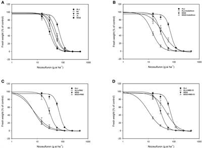 ALS gene overexpression and enhanced metabolism conferring Digitaria sanguinalis resistance to nicosulfuron in China